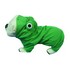 green_frog.jpg