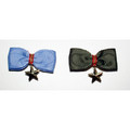 Star Charm Grosgrain Bow Barrette: Dogs Pet Apparel 