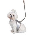 Harness Vest/Leash Set - Metallic Snakeskin Sold Out: Pet Boutique Products