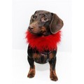 SOFT FUZZ BOA: Dogs Pet Apparel 