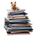 Assorted Crate Mats - 6/Case: Dogs Travel Gear Crate Mats 