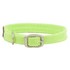324_lime.jpg