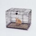 Rabbit Resort