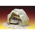 Fossil Cave™ Hide-A-Way Home<br>Item number: REP180: Reptiles Enclosures/Cages 