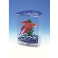 BETTA BOWL-FRONT TANK KITS: Fish Aquariums 