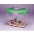 new_world_terrarium.jpg