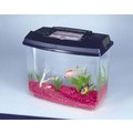 NEW WORLD HABITATS: Fish Aquariums 