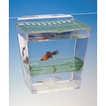 BREED N'SHOW<br>Item number: BST1: Fish Aquariums 