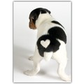 Blank Card - Puppy w/ Heart<br>Item number: DS2-01BLANK