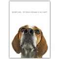 Friendship Card - Beagle Booger<br>Item number: DS2-01FRIEND