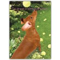 Miscellaneous Card - Grass is Greener<br>Item number: DS2-03MISC.
