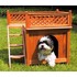 roomwithaview_mps002_withdogoutside.jpg