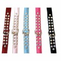 Designer Double Row Swarovski Dog Collar: Dogs Collars and Leads Designer 