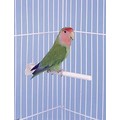 Universal Clip-On Perches