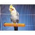 Trimmer-Perches