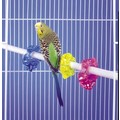 Perch-Spinners