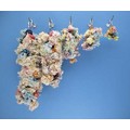 Shaggy-Kabobs: Birds Toys 