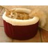 catbedburgundy.jpg