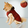 Quilted Velvet Coat - Burgundy: Dogs Pet Apparel 