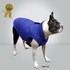 87309_cobalt_blue_text.jpg