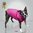 87310_raspberry_text.jpg