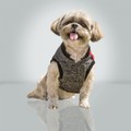 COATS:  Urban Bomber Jacket: Dogs Pet Apparel 