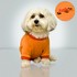 87403_halloween2.jpg