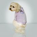 Let it Snow! Velour Top: Dogs Pet Apparel 