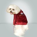 Do You Believe? Velour Top: Dogs Pet Apparel 