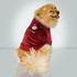 87405_do_you_believe2.jpg