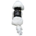 Royal Flight Jacket: Pet Boutique Products