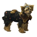 Von Trapp Coat: Pet Boutique Products