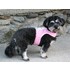 coco_harness_side.jpg