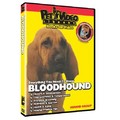 Bloodhound - Everything You Should Know<br>Item number: 71560: Dogs