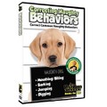 Correcting Naughty Behaviors<br>Item number: 71564