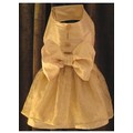 Golden Princess Dress: Pet Boutique Products