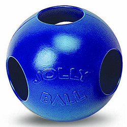 Ferret Jolly Pal Fun Ball - 10"