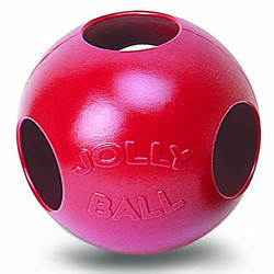 Jolly Pal Fun Ball - 14"