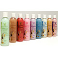 Pet Scentsations Ferret Shampoo - 8 oz Bottle: Small animals Shampoos and Grooming Shampoos, Conditioners & Sprays 