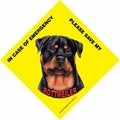 Save My Pet Signs With Suction Cup For In Home Window - (6/Case) (Breeds R-Y): Made in the USA