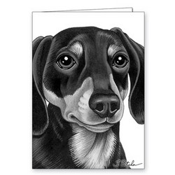 Dog Black and White Greeting Cards - 5" x 7" (2/Case) (Breeds Dachshund-Pug)