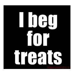 I Beg For Treats