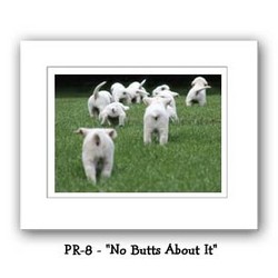 "No Butts About It" Double Matted Prints 16X20