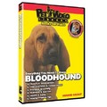Bloodhound - Everything You Should Know<br>Item number: 71560: Dogs Training Products DVDs 