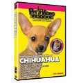 Chihuahua - Everything You Should Know<br>Item number: 71527: Dogs Training Products DVDs 