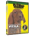 Vizsla - Everything You Should Know<br>Item number: 71541: Dogs Training Products 